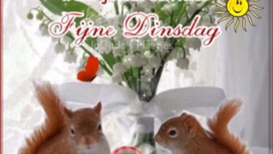 fijne dinsdag wensen 000 - fijne dinsdag wensen