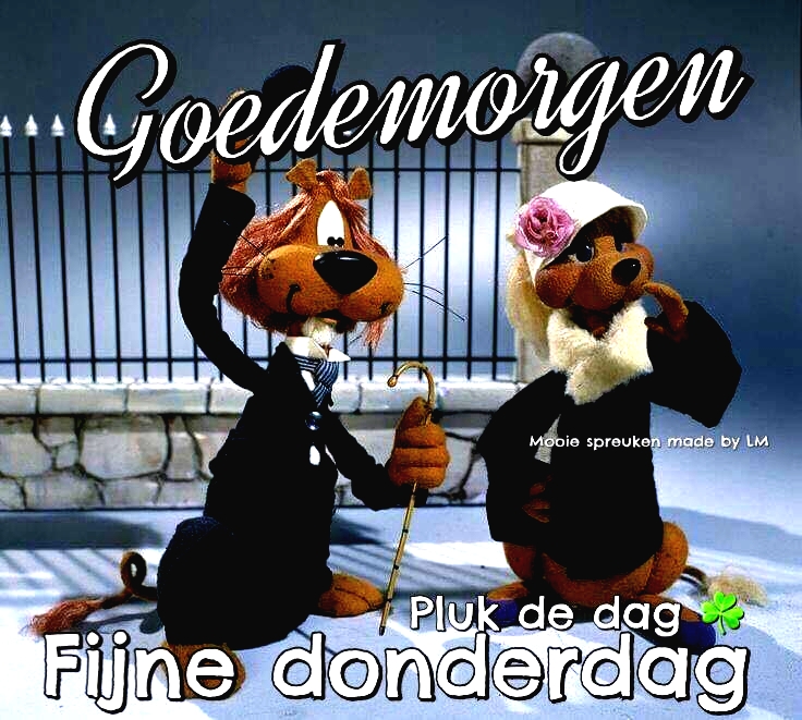 Donderdag plaatje