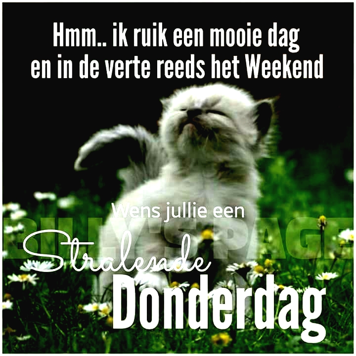Donderdag plaatje