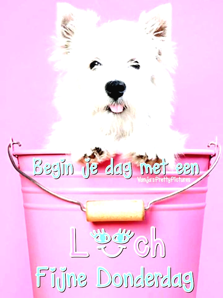 Donderdag plaatje