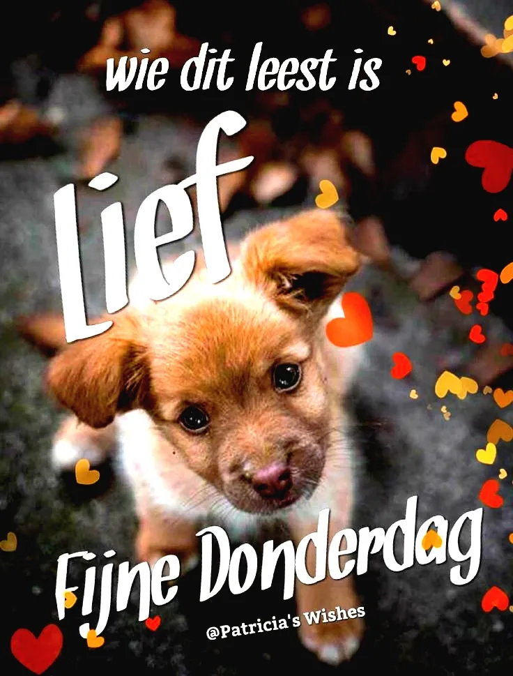 donderdag plaatje - Schattige puppy met kleurige hartjes en tekst: 'Fijne Donderdag'.