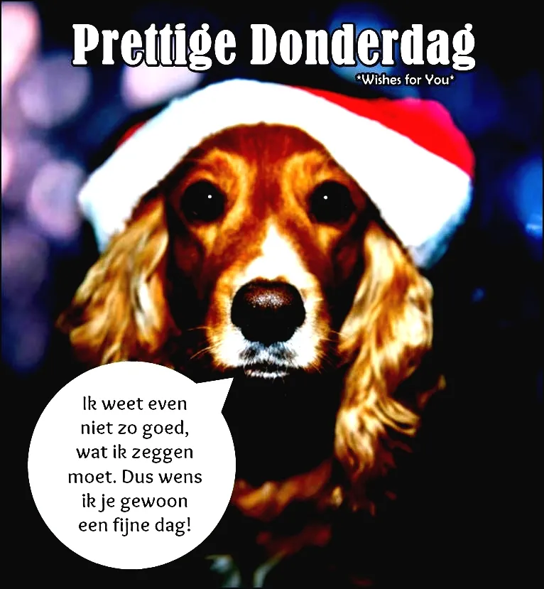 Hond in kerstmanmuts met tekstwolk "Ik wens je een fijne dag!"