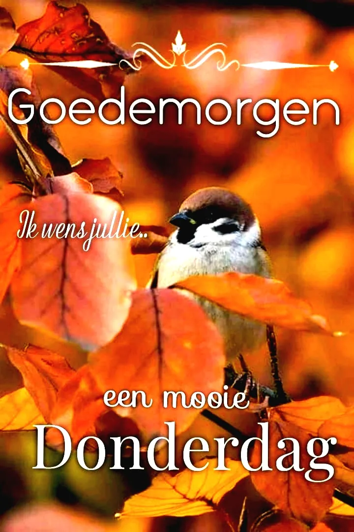 Vogeltje tussen oranje bladeren met de tekst "Goedemorgen, een mooie Donderdag".