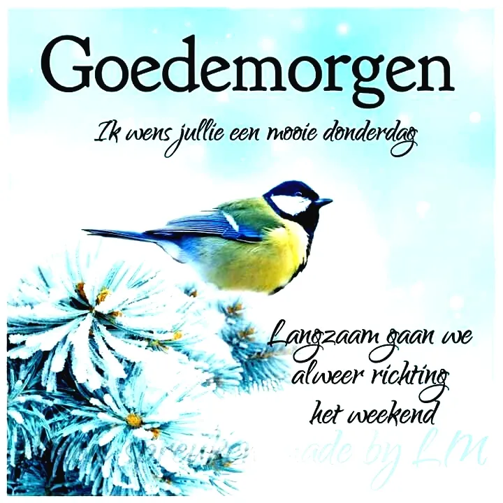 Een blauwe vogel zit op een tak met sneeuw, met de tekst "Goede morgen".