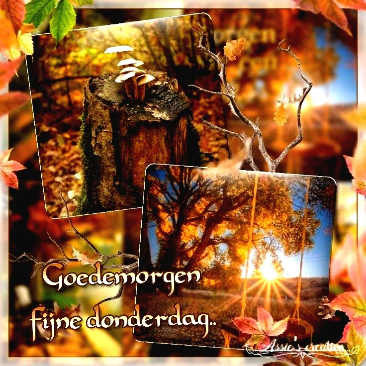 Herfstlandschap met paddenstoelen en zonnestralen door de bomen. Goede morgen!