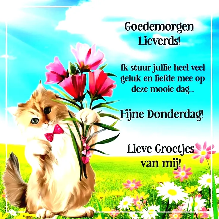 Kattenillustratie met bloemen en tekst voor een vrolijke boodschap.