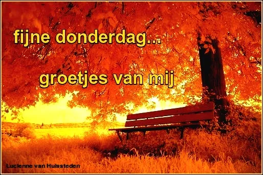 Bomen met oranje bladeren en een bankje, met de tekst 'fijne donderdag'.