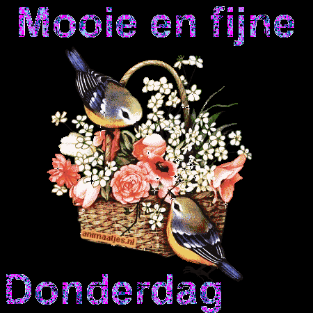 Donderdag plaatje