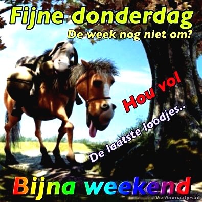 Donderdag plaatje