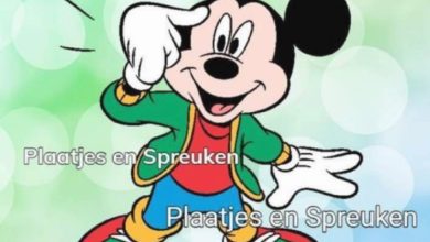 goedemorgen donderdag 000 - goedemorgen donderdag