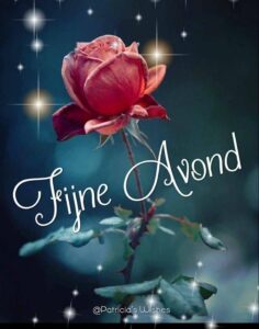 fijne avond afbeeldingen