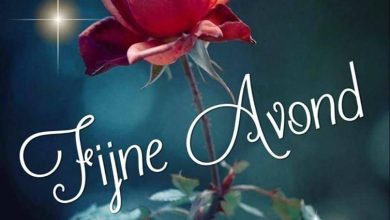 fijne avond afbeeldingen 000 - fijne avond afbeeldingen