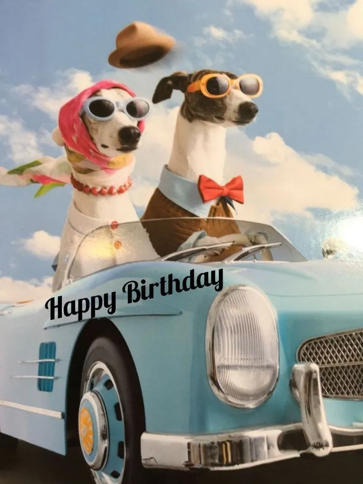 Van harte gefeliciteerd vrouw afbeelding