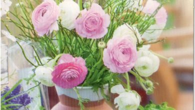 hartelijk gefeliciteerd vrouw 000 - hartelijk gefeliciteerd vrouw