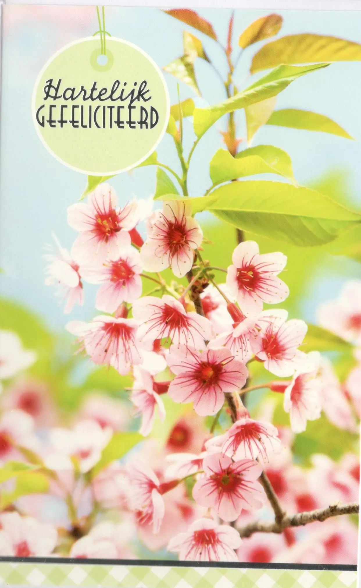 Wit en roze elegantie