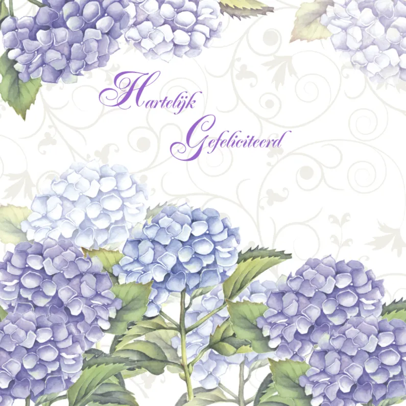 Klassieke felicitatie vrouw