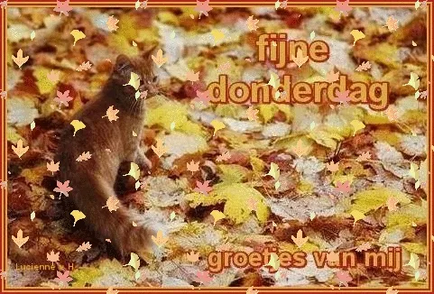fijne donderdag gif - Een eekhoorn tussen bladeren met de tekst "Fijne donderdag, groetjes v. n. mij".