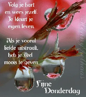 fijne donderdag gif - Tekst met inspirerende boodschap op een achtergrond van bloemen met dauwdruppels.